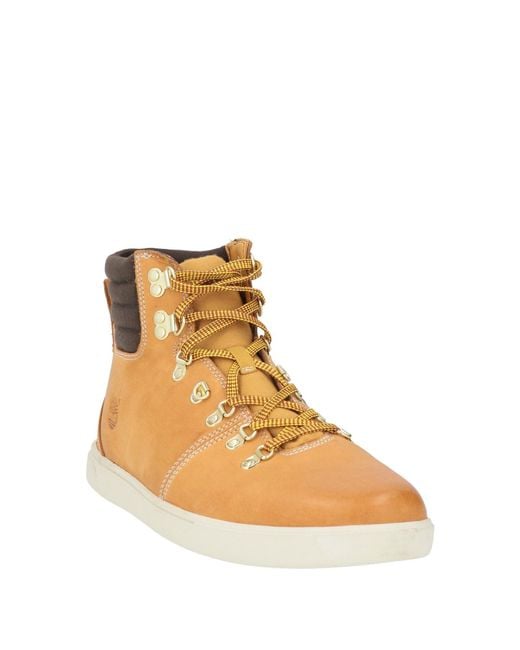 Timberland Brown Ankle Boots for men