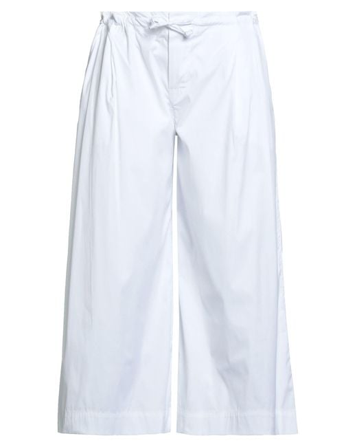 Bagutta Blue Hose