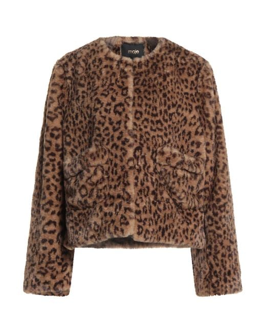 Shearling & Teddy di Maje in Brown