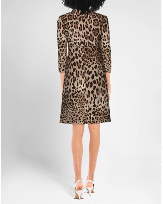 Dolce & Gabbana Brown Sand Mini Dress Wool