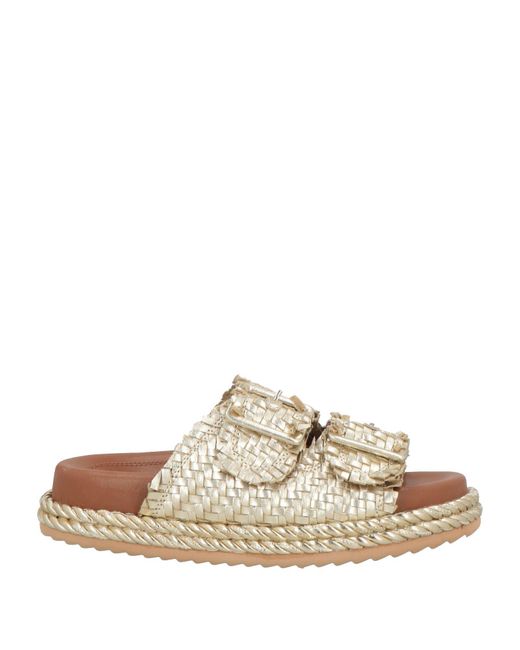 Rahya Grey White Sandals
