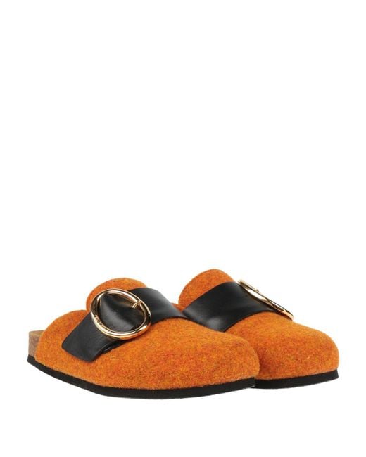 J.W. Anderson Brown Mules & Clogs