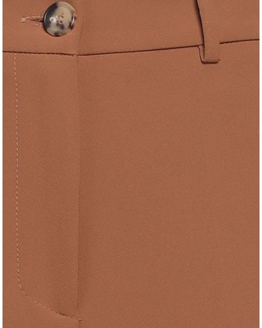 SOLOTRE Brown Trouser