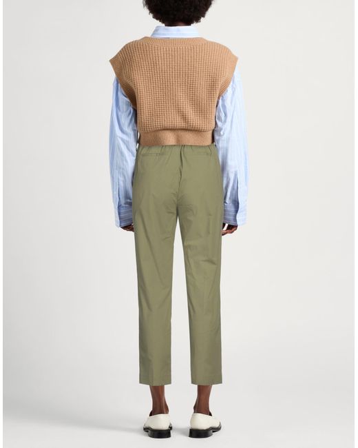 Antonelli Green Hose