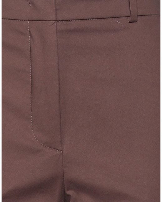 Incotex Brown Trouser