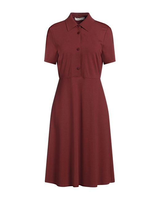 Liviana Conti Red Midi Dress