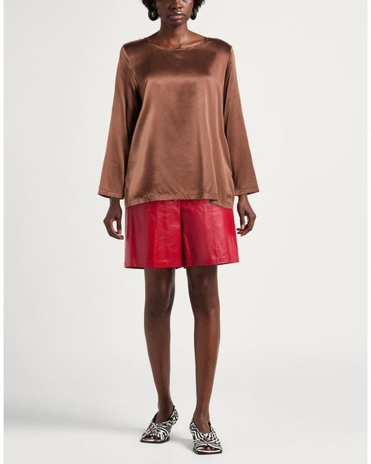 Maliparmi Brown Chocolate Top Silk, Elastane