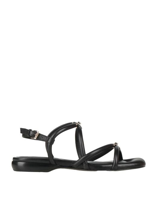 Ash Black Sandals Leather