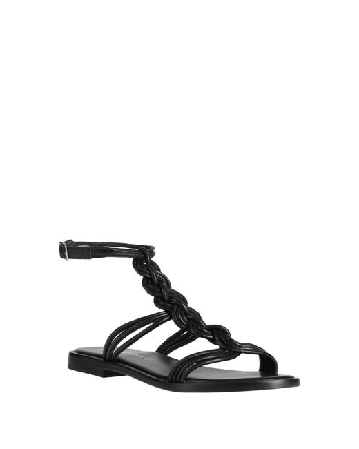 Divine Follie Black Sandals Leather