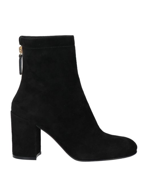 Bottines Gianvito Rossi en coloris Black