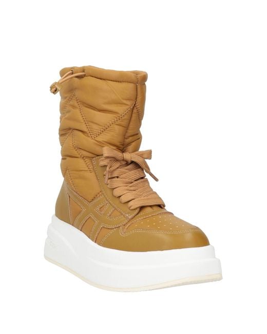 Ash Brown Ankle Boots