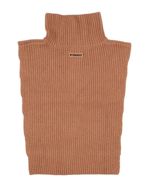 Sciarpa di Pinko in Brown