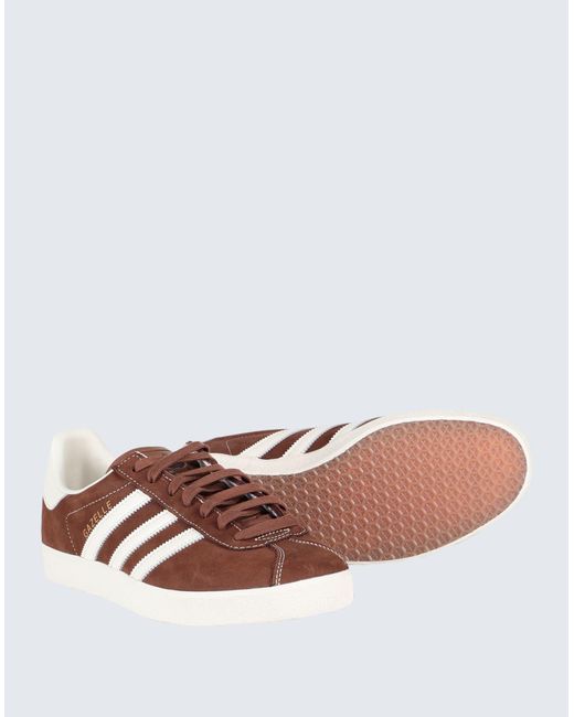 Adidas Originals Brown Sneakers for men