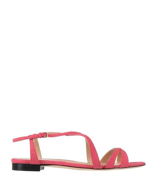 Sergio Rossi Pink Sandals