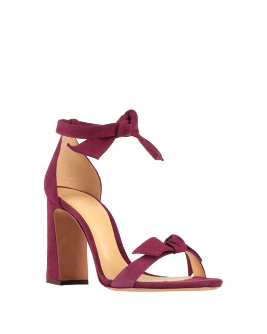 Sandales Alexandre Birman en coloris Pink