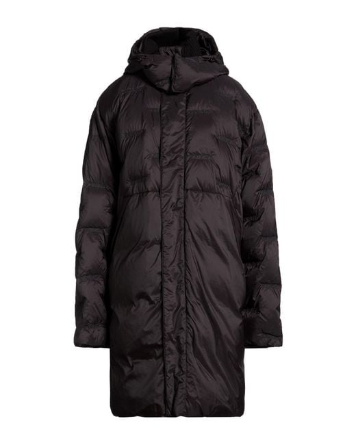 Iceberg Black Puffers