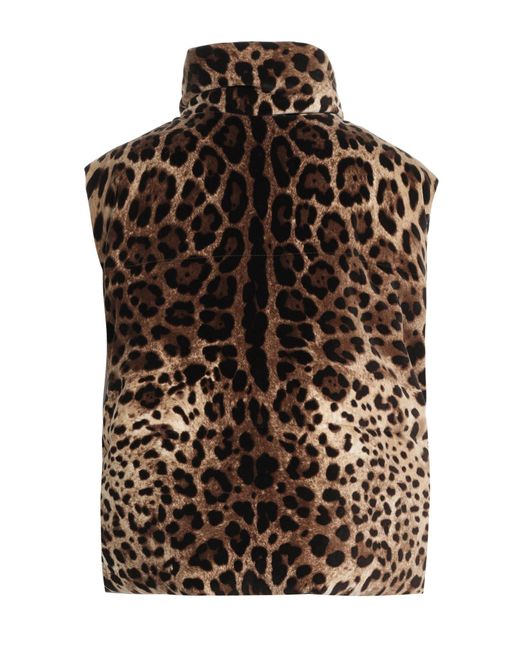 Dolce & Gabbana Brown Vest