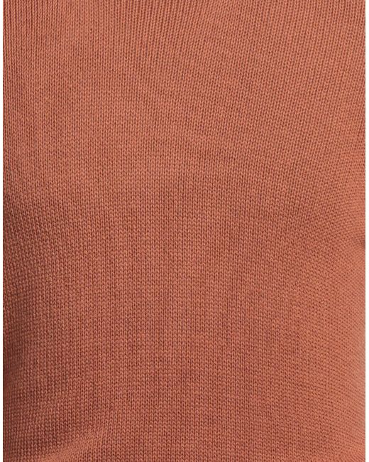 Scaglione Brown Sweater for men