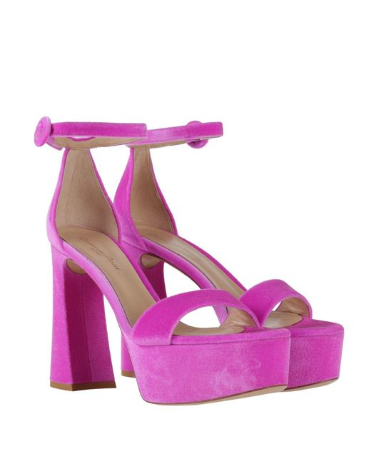 Gianvito Rossi Pink Sandals