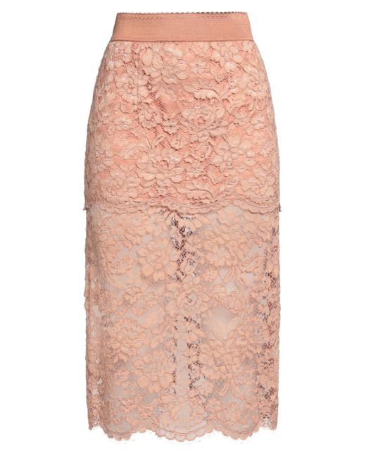 Gonna Midi di Elisabetta Franchi in Pink