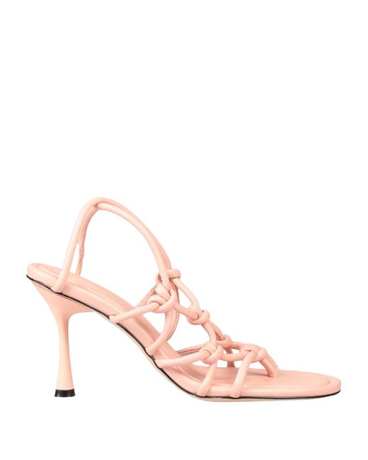 STUDIO AMELIA Pink Thong Sandal