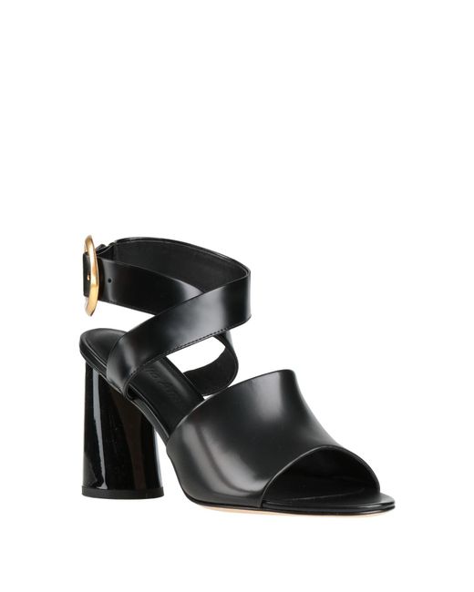 STUDIO AMELIA Black Sandals