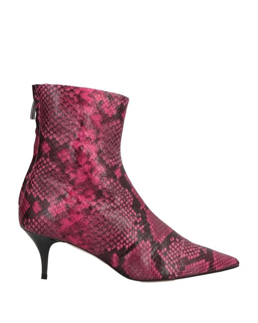 Stivaletti di Amen in Purple