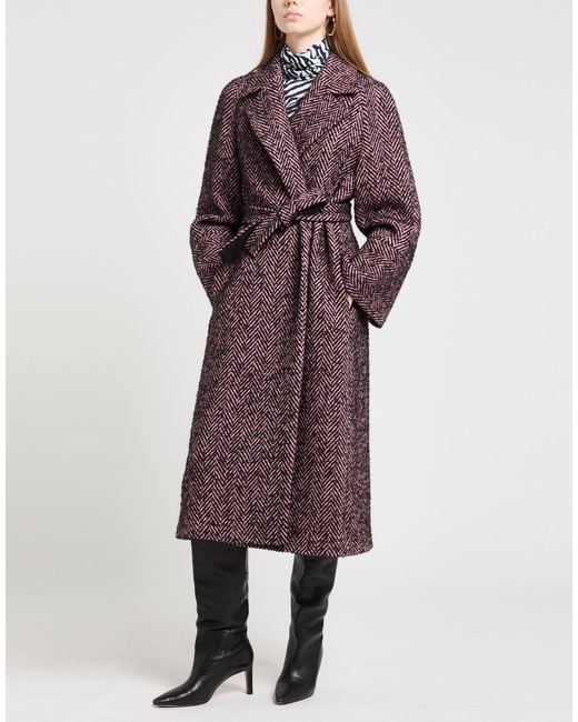 Caractere Purple Coats