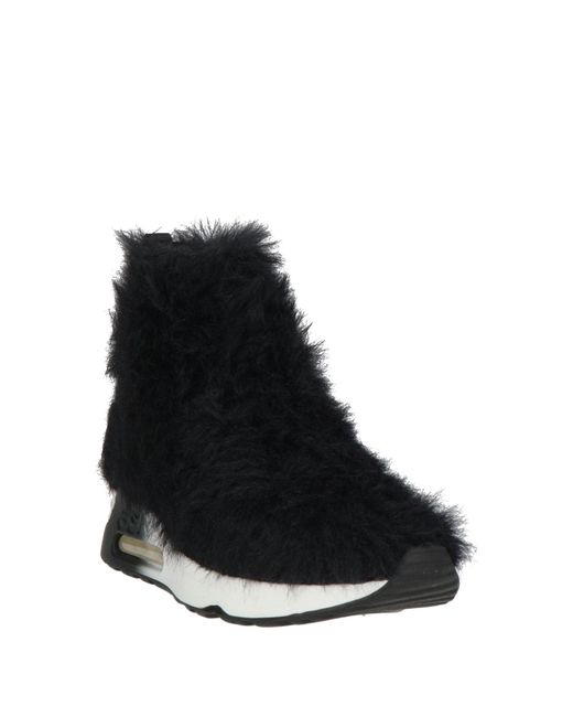 Ash Black Trainers
