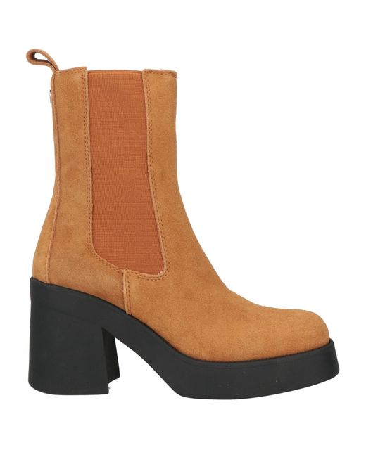 Steve Madden Brown Ankle Boots