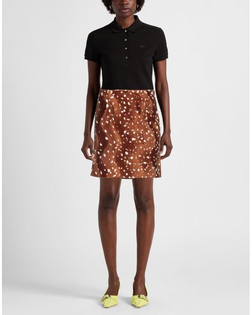 Minigonna di Vivetta in Brown