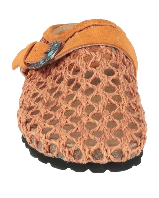 Taji Brown Mules & Clogs