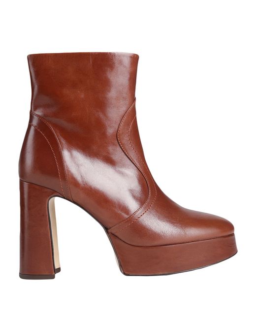 Bruno Premi Brown Ankle Boots