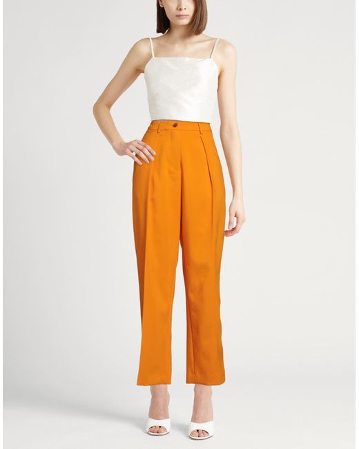 Alysi Orange Hose