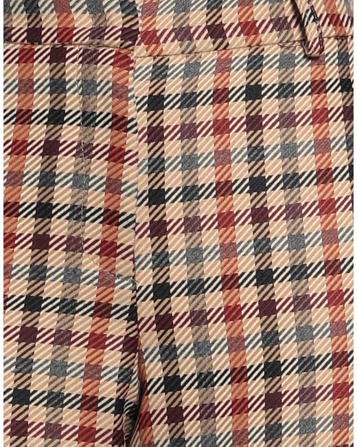 Semicouture Multicolor Pants