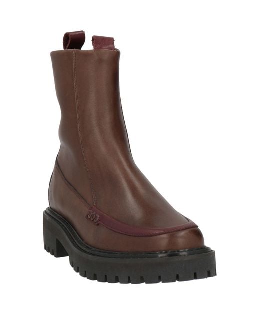 Cerruti 1881 Brown Ankle Boots