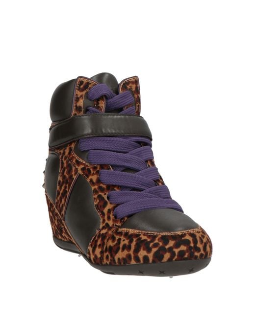 Ash Brown Trainers