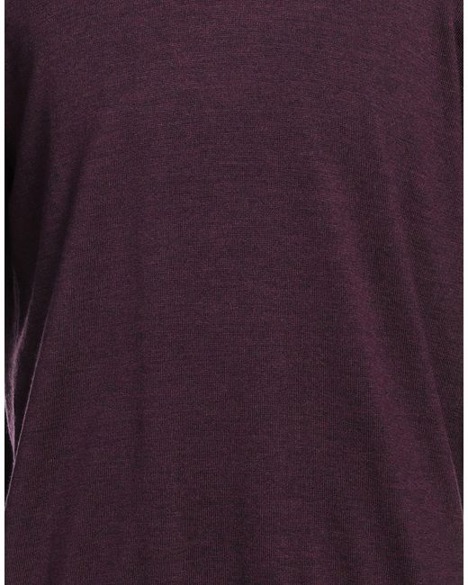 Ballantyne Purple Jumper for men