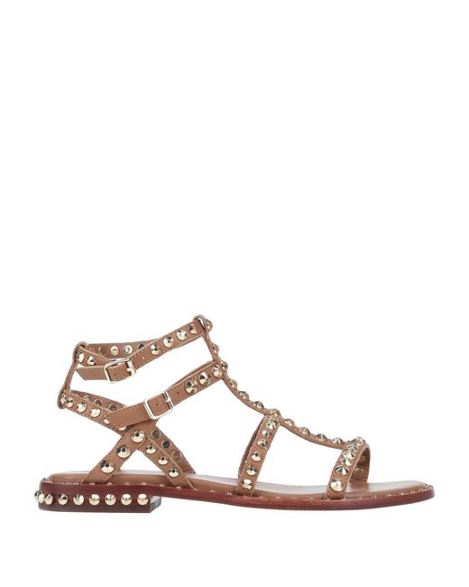 Ash Multicolor Sandals