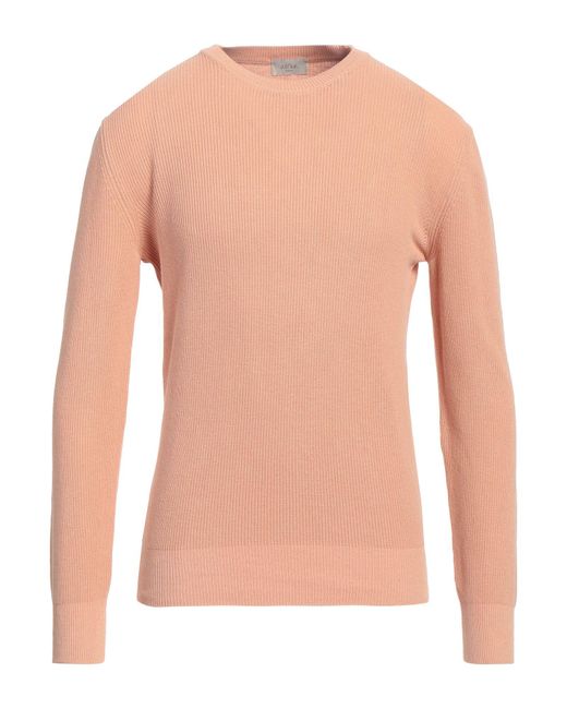 Altea Pink Sweater for men