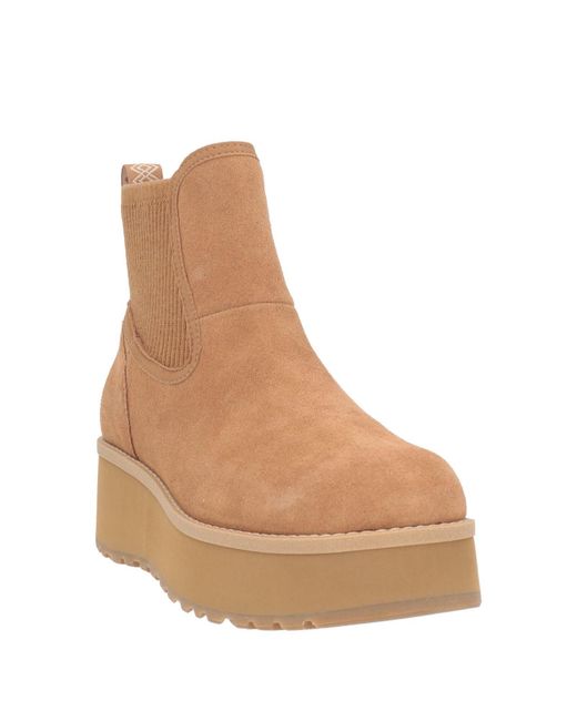 Ugg Brown Stiefelette