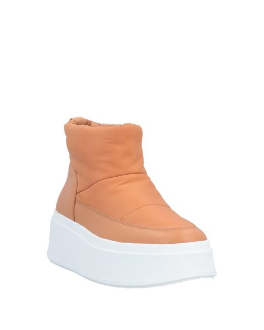 Ash Brown Ankle Boots