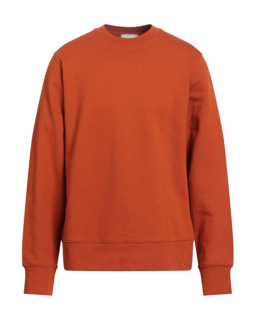Y-3 Sweatshirt in Orange für Herren