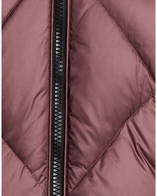 Blauer Brown Puffer