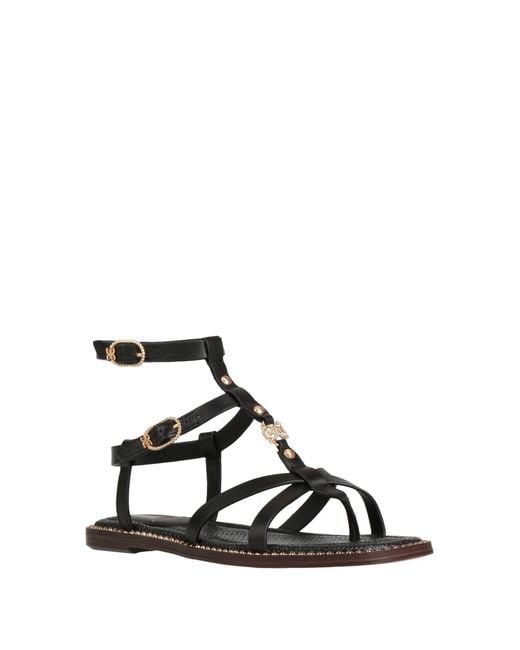 Sam Edelman Brown Zehentrenner