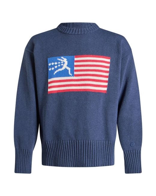 Champion Blue Sweaters for men