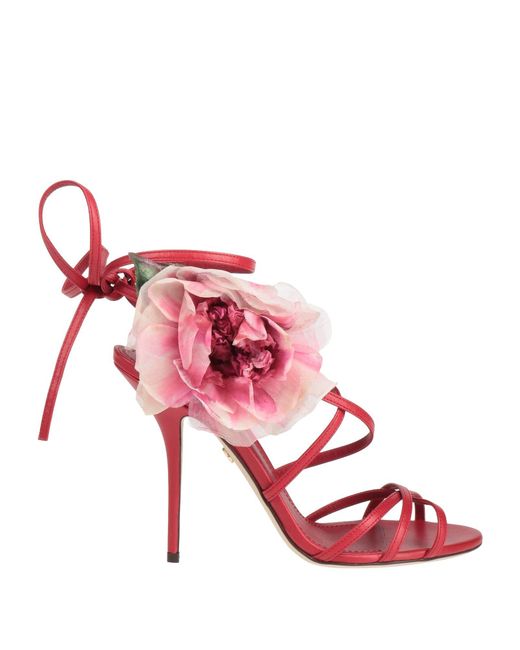 Dolce & Gabbana Pink Sandals
