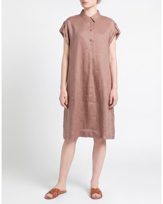 Windsor. Brown Midi Dress