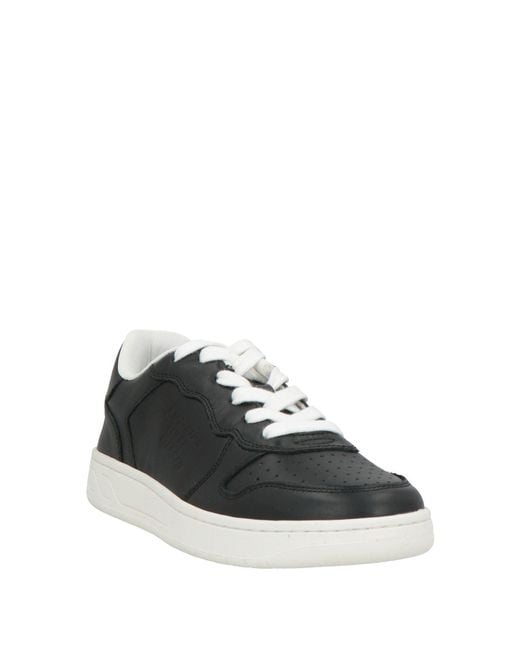 Acbc Black Sneakers