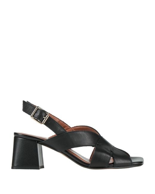 Cinzia Soft Black Sandals Leather